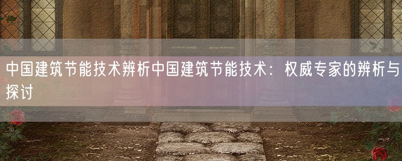 中国建筑节能技术辨析中国建筑节能技术：权威专家的辨析与探讨