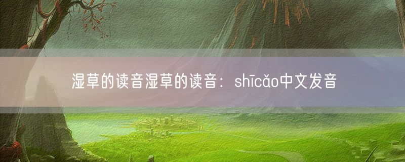 湿草的读音湿草的读音：shīcǎo中文发音