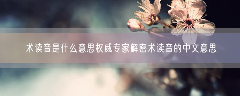 术读音是什么意思权威专家解密术读音的中文意思