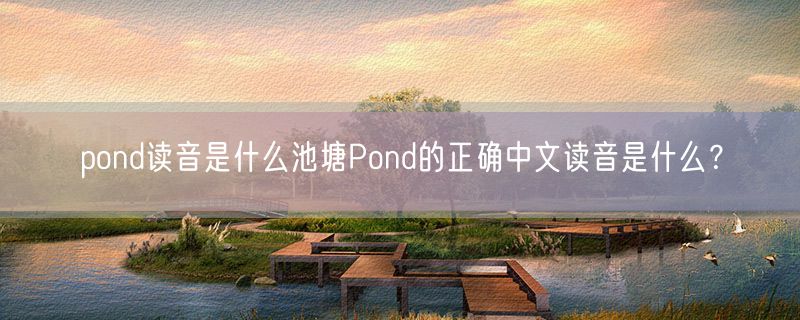 pond读音是什么池塘Pond的正确中文读音是什么？